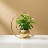 Steel Crescent Moon Planter