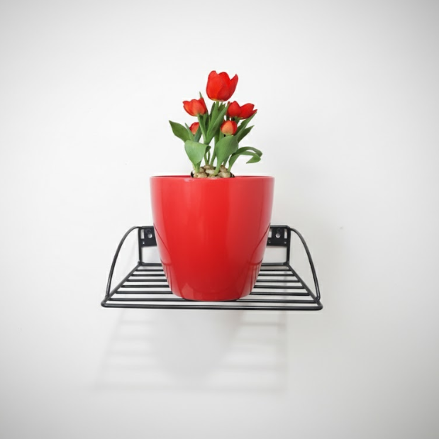 Steel Wall Pot Hanger Shelf