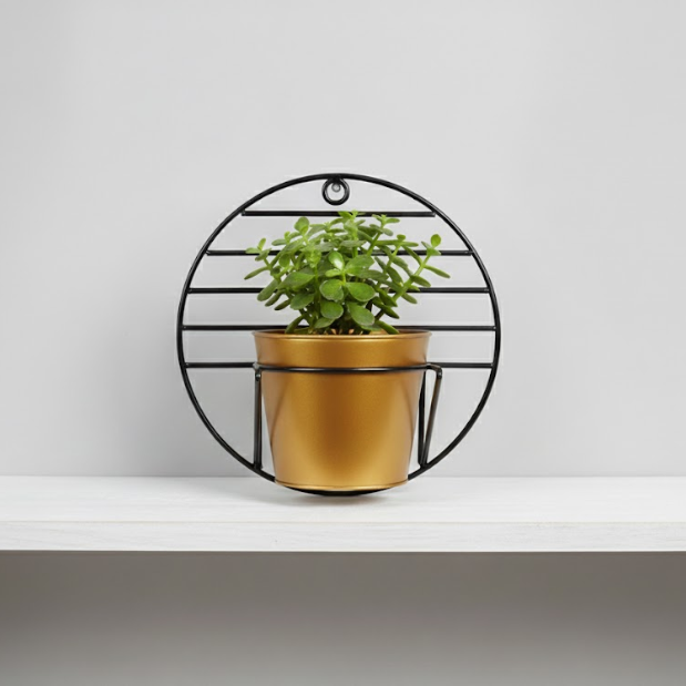 Steel Wall Single Pot Display Stand