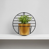 Steel Wall Single Pot Display Stand
