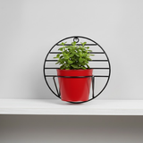 Steel Wall Single Pot Display Stand