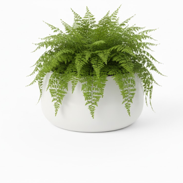 Handi Pot – White