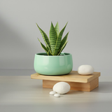 Handi Pot – Mint Green