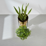 Luxe Golden Two-Tier Steel Planter Set