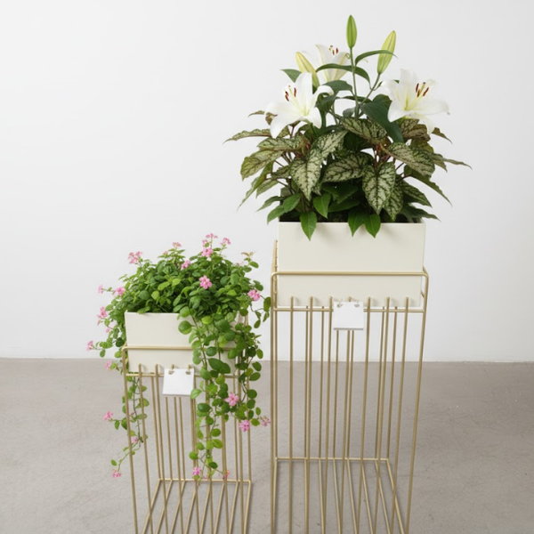 Cream Rectangular Steel Pot Planter Set