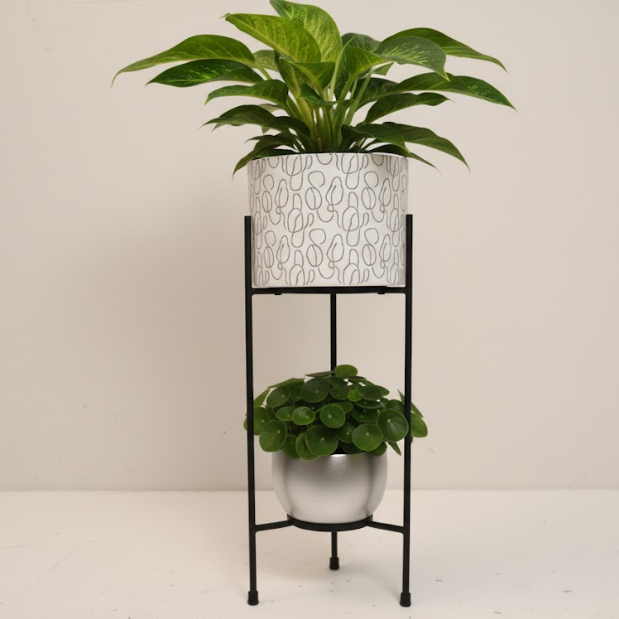 Cherry Blossom Dual Pot Steel Stand