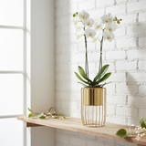 Gold Elegance Steel Planter