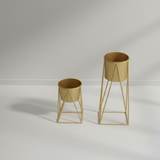 Contemporary Gold Steel Planter set