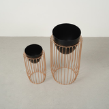 Urban Black Steel Cage Planters (Set of 2)