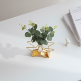 Golden Star Love Test Tube Planter