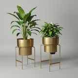 Luxe All-Gold Steel Planter  set