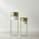 Modern Contrast Gold & White Planter set