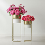 Modern Contrast Gold & White Planter set