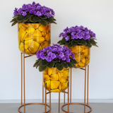 Premium Golden Steel Planter with Stand