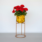 Premium Golden Steel Planter with Stand