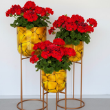 Premium Golden Steel Planter with Stand