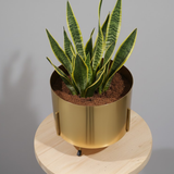 Premium Gold Finish Steel Planter with Stand
