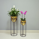 Luxury Golden Steel Planter Set