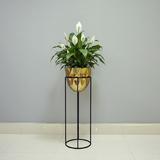 Luxury Golden Steel Planter Set