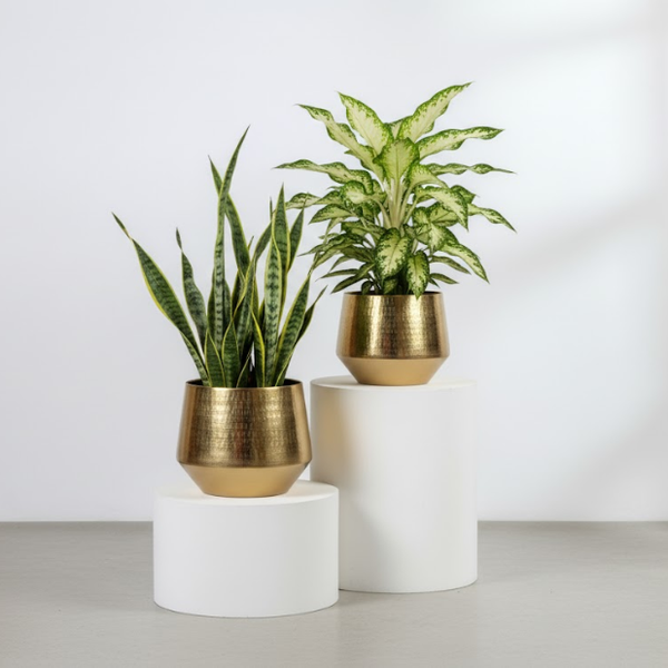 Duo Luxe Gold Steel Planters (Set of 2)