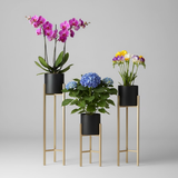Luxe Steel Tripod Plant Stand Set (3 Pieces)