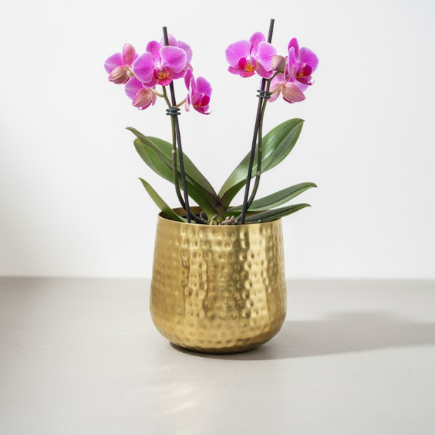 Hammered Gold Steel Planter
