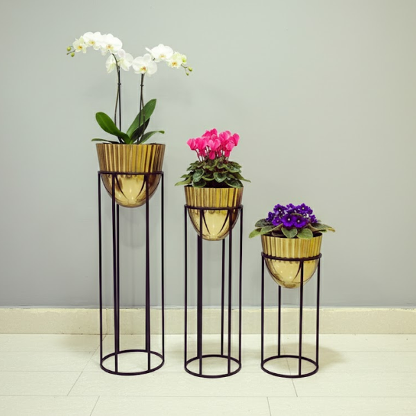 Premium Golden Steel Planter Stand Set of 3