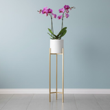 Metal Plant Stand with Planter Set
