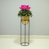Premium Golden Steel Planter Stand Set of 3