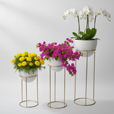 Egg-Shaped Steel Planter Set Of Three