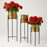 Premium Golden Steel Planter Set