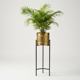 Premium Golden Steel Planter Set