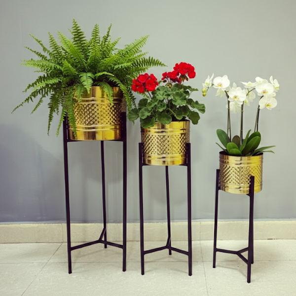 Luxe Golden Planter Set