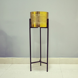 Luxe Golden Planter Set