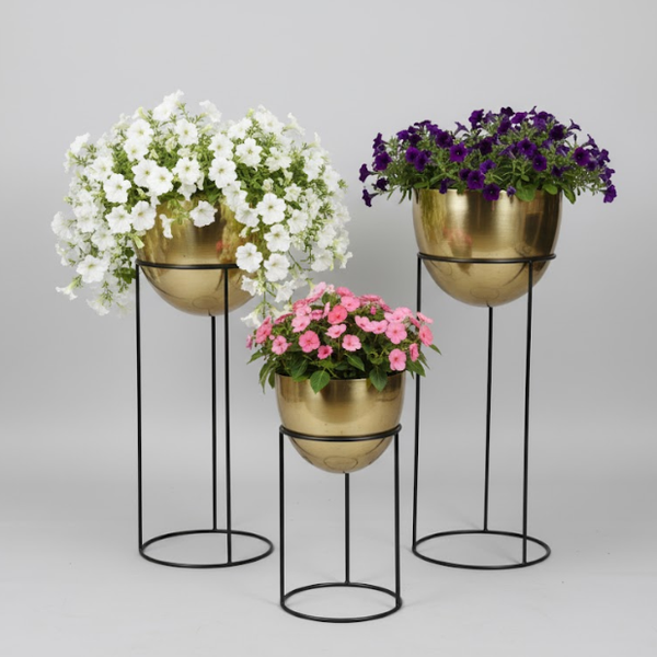 Elegant Gold Egg-Shaped Steel Planters – Set of 3 with Modern Stands