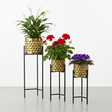 Luxury Golden Steel Planter Set with Elevated Stands – Set of 3
