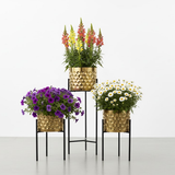 Luxury Golden Steel Planter Set with Elevated Stands – Set of 3