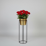 Luxury Golden Steel Planter Set with Stands – Set of 3
