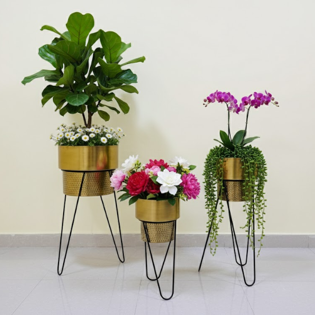 Premium Golden Steel Planter Set with Designer Stand – Set of 3
