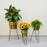 Premium Golden Steel Planter Set with Designer Stand – Set of 3