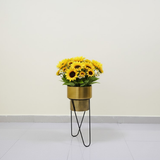 Premium Golden Steel Planter Set with Designer Stand – Set of 3