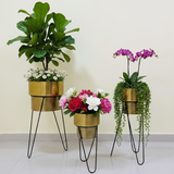 Premium Golden Steel Planter Set with Designer Stand – Set of 3