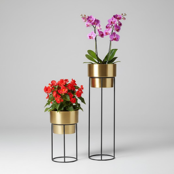 Luxe Golden Planters Set of 2