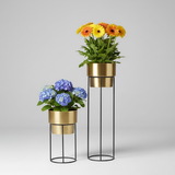 Luxe Golden Planters Set of 2