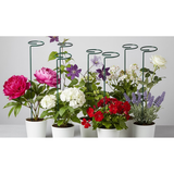 High-Quality Steel Plant Support Stakes – Pack of 6