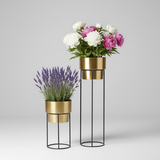 Luxe Golden Planters Set of 2