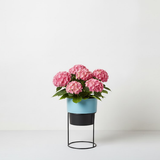 Elegant Steel Planter Set of 2