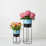 Elegant Steel Planter Set of 2