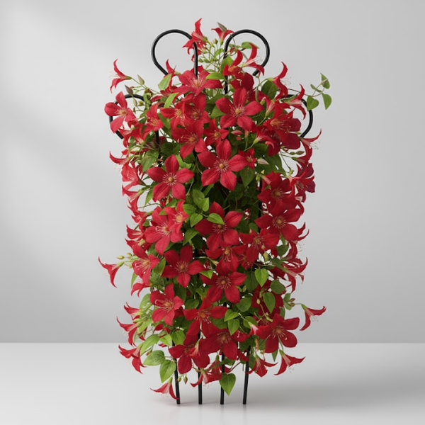 Premium Steel Big Plant Stake