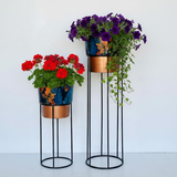 Luxe Steel Planters with Artistic Finish